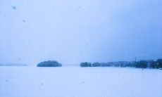 为夏季降温而来——适合在微信朋友圈分享的凉爽内容