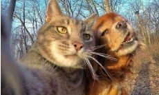 如何撰写文案并成功地推广自己的自拍照片：掌握社交媒体文案技巧，让你的自拍赢得更多关注和舞台