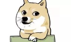 独身狗分享经典言辞：句句戳心，让你感受单身之美