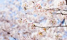 富有热情的夏季高温时节中向你致以诚挚问候的手机短信