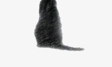 赋予灵魂深层触动之美：扣人心弦、令人痴缠不舍的感慨万千唯美句子