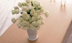 一些能够引起女性笑声的幽默话语和趣味语句