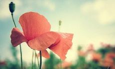 时间证明了我对你的不重要，我将离婚的心情无保留吐露