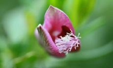 亲情中的话语伤害最深，令人心碎的句子大集合