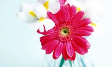 为何应该在生命中珍惜亲情关系：感性劝诫之句