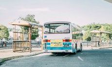 一连串兴高采烈的字句，描述年轻人的快乐情绪