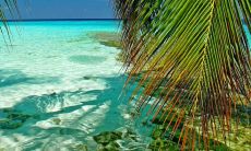 在盛夏季节，用诗歌歌颂逝去的时光：夏天的美丽诗歌