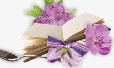 精选表达感激陪伴与开心欢笑的美妙句子