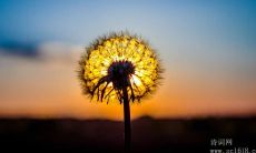 整理了数百条廉洁格言和警句，为大家呈现最全面的廉洁格言与警句目录！