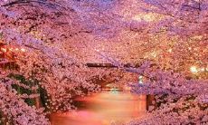 一句话能让你开心的人，他的话可以改变你的一生！