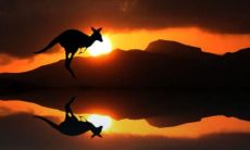 令人快乐的简短语句，令你欢笑不止！