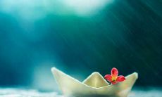 当我目睹你因某原因而感到开心时，我感到欣慰和满意的情绪表达