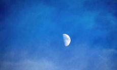 探寻稀奇古怪、古灵精怪的让人快乐的语句