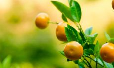 分享给好友的愉快畅快句子集锦，增加朋友圈精彩互动！