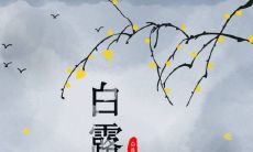 White Dew Seasonal Blessings: A Comprehensive Collection of Beautiful Wishes