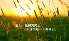 分享：45个充满正能量的人生感悟短句，让你更加坚定前行的信念！