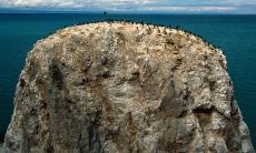 在寒冷冬季送上温暖问候的短信，祝福温馨感人！