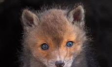 一路欢乐连连，充满笑声和感动的畅快之旅