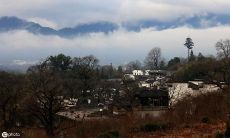 以亲情为动力：常以家人为出发点的句子