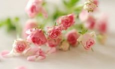 通过细心服务并以感恩之心销售服装的表达方式，表达对顾客的感激之情