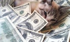 30个让你收到红包后开心不已的句子，立即解锁好心情！