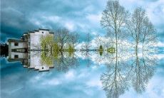 没有后悔药可医，只能用感慨的句子反思过去