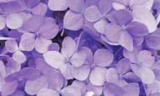 温柔又充满力量的鼓舞人心句子，让你心灵受到正能量的滋润！