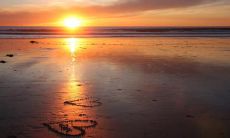 时间并充分利用，因为时间是永不回头的流逝的财富，珍惜时间可以为自己和他人营造更美好的未来