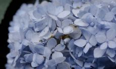 逗笑不停！自动回复全收录，让你感受“沙雕又可爱”的最佳幽默搞笑句子！