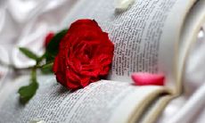 如何用简单而有效的句子鼓励并劝告朋友保持积极向上的心态？