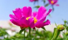 多说一次可以鼓励自己变得更加强大的励志句子