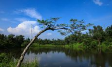 分享放假欢愉心情：痛快放松，开怀畅玩，畅享悠闲时光，快乐无限，别有一番乐趣！