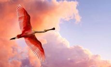 享受幸福，体验无忧——一个让人心情愉悦，没有任何烦恼的句子