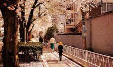 欢天喜地，心花怒放：用丰富多彩的语言描述快乐的情感和美好的经历