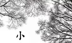 一些关于小寒的描述和句子，让你更深入了解这个节气的特点和文化背景