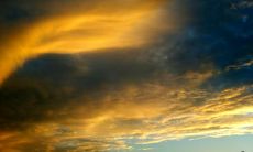 包含多种内容的简单问候晚安短信大全，涵盖丰富多样的祝福和表达方式