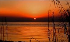 分享一些关于生活的感悟，表达内心的情感和心情