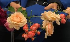 探寻四季之美：收集了一系列优美好听的宝藏短句