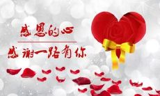 感恩的话语——数百个令人感动的表达和赞美，让你更感激身边的人和事