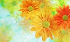 语录：用名人的经历和智慧激励自己，提高生活品质和修养，追求人生的成功和幸福