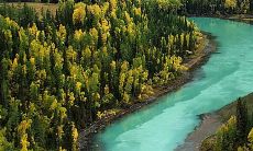 探秘碧蓝清澈、缓缓流淌、川岸花草繁茂的风景：描写小溪的动人句子