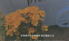 表达无比痛苦和遭遇极大不公的心情的句子