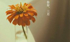 三月新春祈愿：满载唯美句子和瑰丽画面，二月谢幕三月开启！