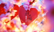 一大堆美好祝福的句子，让你感受到温暖和爱！