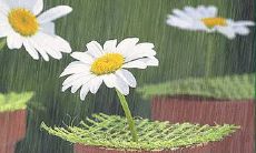 看到孩子们就感到喜悦和放松的振奋人心的表达方式