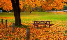 绵延岁月中，亲情相聚总是一瞬间，短暂而珍贵的句子