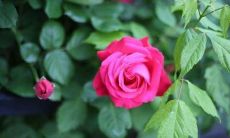 人生经典说说短句变身为人生感悟说说短句子 - 用简洁的文字诠释深刻的人生哲理