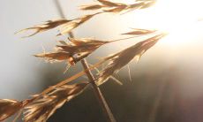 如何用幽默的言语调侃女生，让她们忘记烦恼和压力的方法？