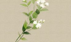 一些独特而感人的句子，能深刻表达人与人之间的深厚友情！