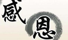 用于表达对感恩主题的文章或演讲的句子和资料